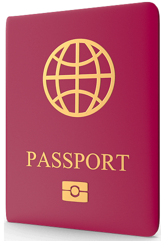 Obrázek vínového pasu se zlatým rytím